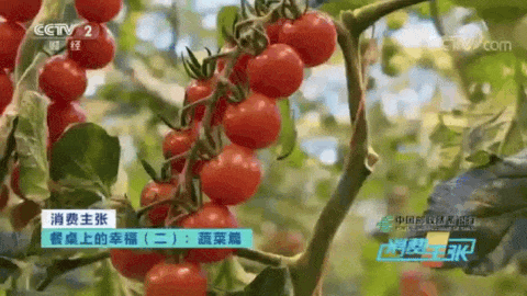 4.gif 4.gif